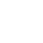 busIcon