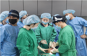 现场指导面部轮廓手术