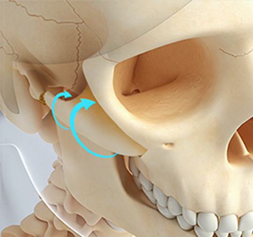 向內側向後上方旋轉移動