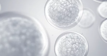 骨髓幹細胞注射