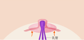AB Plastic Surgery