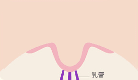 AB Plastic Surgery