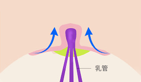 AB Plastic Surgery