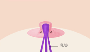 AB Plastic Surgery