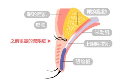 AB Plastic Surgery
