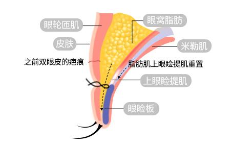 AB Plastic Surgery