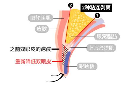 AB Plastic Surgery