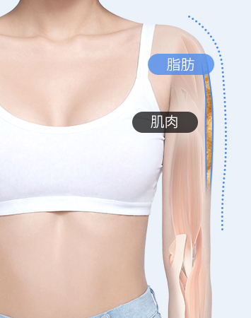 Fat and muscle after precise diagnosis